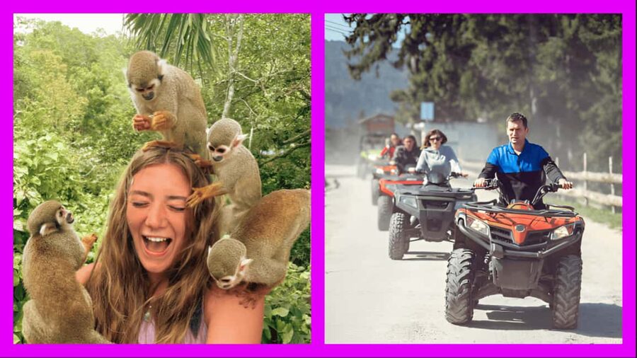 Monkey Encounter + ATV Riding Adventure – Puerto Plata - Coffee and Cacao Stop: A Small Culture Layer That Adds Meaning