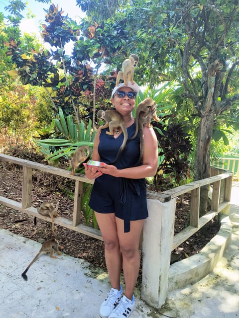 Monkey Encounter + ATV Riding Adventure – Puerto Plata - Guide Style and Safety: Why Francisco Gets Named