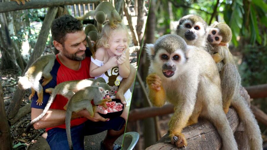Monkey Encounter + ATV Riding Adventure – Puerto Plata - Who This Tour Suits Best (And Who Might Want a Different Option)