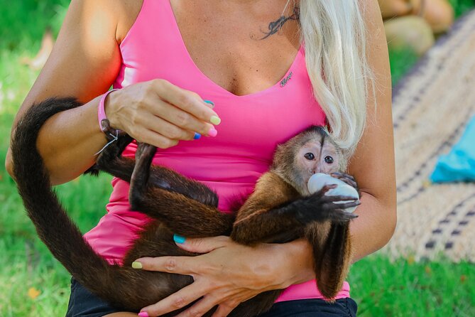 Monkey House VIP Experience with 4 species of monkeys, Punta Cana - Monkey House VIP in Punta Cana, why this is more than a typical animal stop