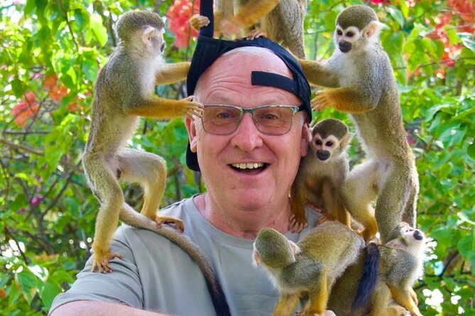 Monkey House VIP Experience with 4 species of monkeys, Punta Cana - Your 2.5-hour flow on site, what the experience is actually like