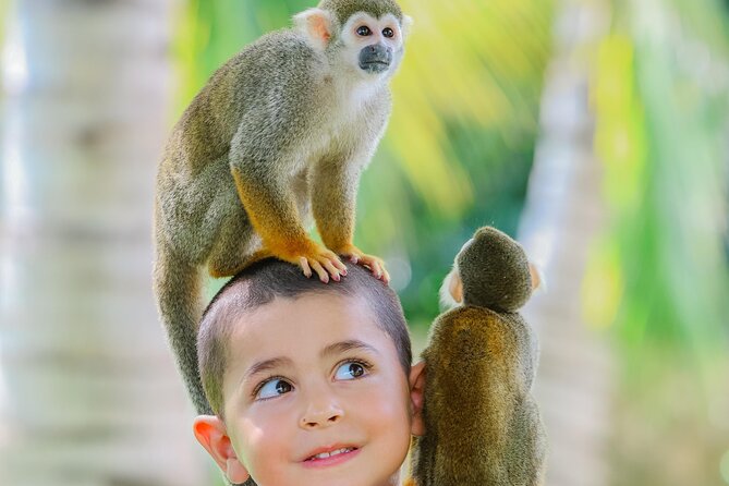 Monkey House VIP Experience with 4 species of monkeys, Punta Cana - Pickup, timing, and what to bring for a smooth Punta Cana visit