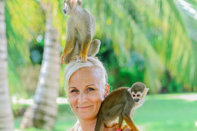 Monkey House VIP Experience with 4 species of monkeys, Punta Cana - Should you book Monkey House VIP Experience in Punta Cana?