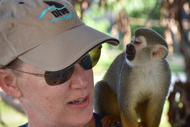 Monkey Mania Puerto Plata - Puerto Plata Stops You Can Actually Enjoy in One Short Run