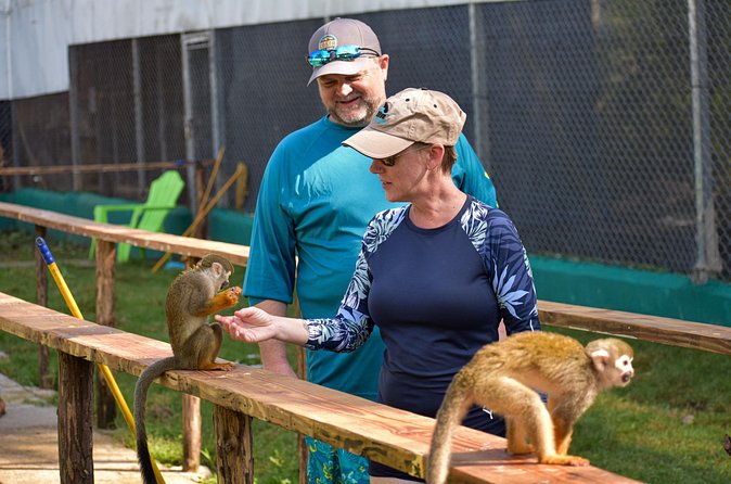 Monkey Mania Puerto Plata - Value Check: Why $75 Feels Fair for This Package