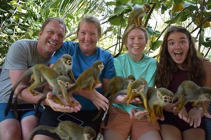 Monkey Mania Puerto Plata - Comfort, Safety, and What the Guides Add