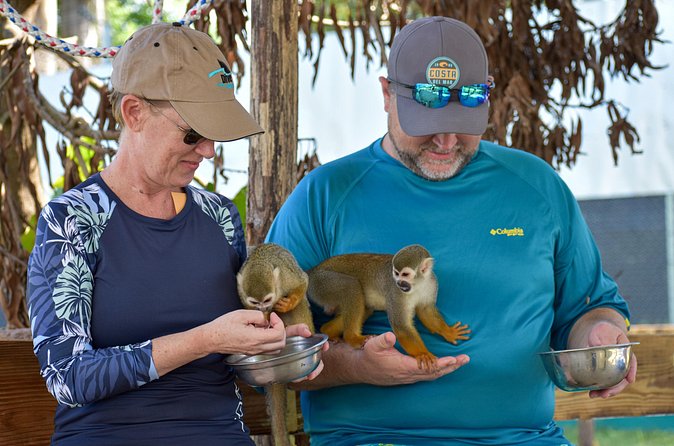 Monkey Mania Puerto Plata - Who This Tour Fits Best, and Who Might Pass