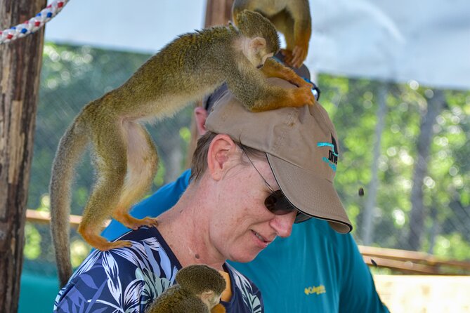Monkey Mania Puerto Plata - Getting Hands-On With Squirrel Monkeys