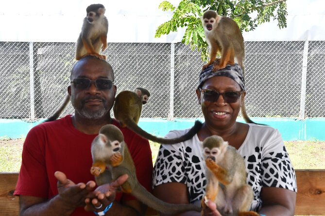 Monkey Tour Interaction and Damajagua waterfalls in Puerto Plata. - Damajagua waterfalls: stairs first, then slides and jumps