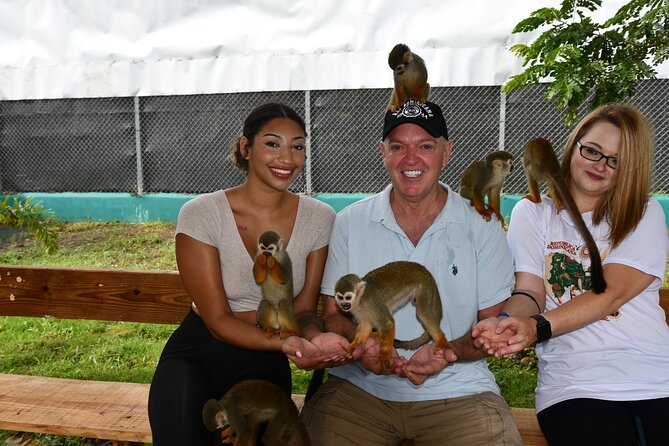 Monkey Tour Interaction and Damajagua waterfalls in Puerto Plata. - Monkey Home in Imbert: fruit feeding and close squirrel monkey encounters