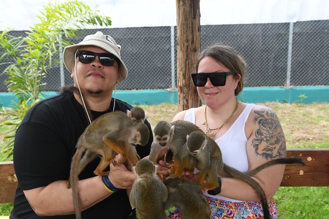 Monkey Tour Interaction and Damajagua waterfalls in Puerto Plata. - What the full schedule feels like on the ground