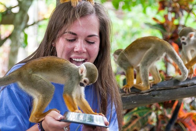 Monkeyland and Plantation Safari from La Romana - From La Romana to Monkeyland, the Easy Countryside Day