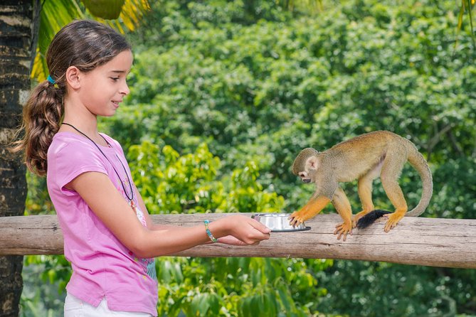 Monkeyland and Plantation Safari from La Romana - Transport in an Open-Air Safari Truck: Great Views, Real Heat