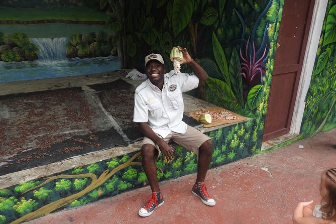 Monkeyland and Plantation Safari from La Romana - Price and Value from La Romana: What You Get for About $95