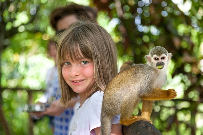 Monkeyland and Plantation Safari from La Romana - Should You Book Monkeyland and Plantation Safari from La Romana?
