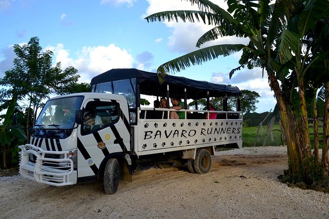 Monkeyland and Plantation Safari Tour from Punta Cana - Botanical garden time: where the “pretty” part actually pays off