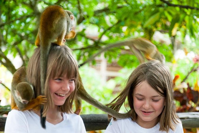 Monkeyland and Plantation Safari Tour from Punta Cana - Who this tour is best for (and who should think twice)