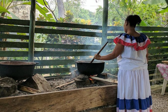 Monkeyland and Plantation Safari Tour from Punta Cana - Price and value: how $80 makes sense here