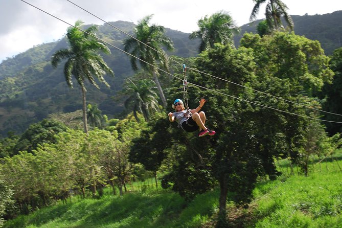 Monkeyland and Zipline Adventure from Puerto Plata - Price and Value: Is $90 Worth It?