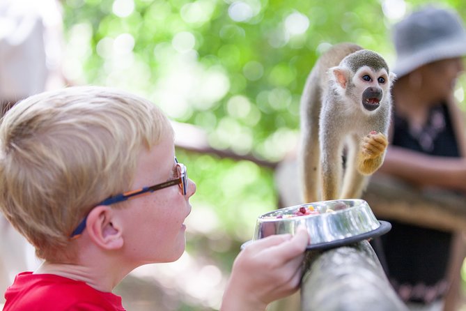 Monkeyland and Zipline Adventure from Puerto Plata - The Zipline Course: 7 Lines, Bridge Crossings, and the Choco Views