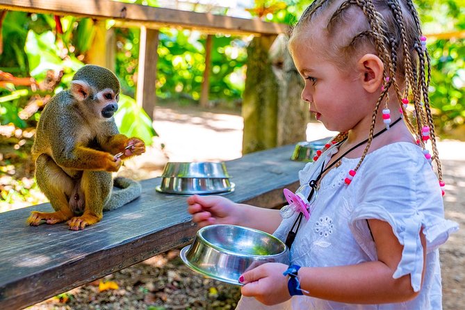 Monkeyland & Plantation Safari Full Day from Juan Dolio - Key things I’d plan around