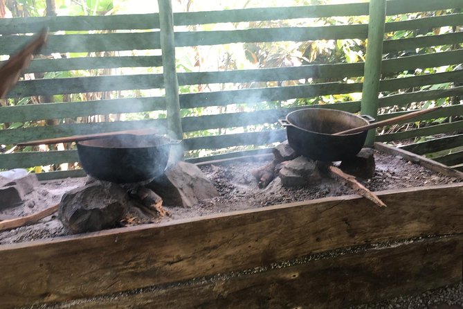 Monkeyland & Plantation Safari Full Day from Juan Dolio - The included lunch: what to expect and how to avoid meal disappointment