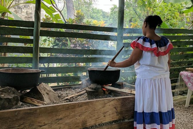 Monkeyland & Plantation Safari Full Day from Juan Dolio - Small group size and why it affects your experience