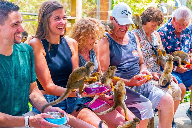 Monkeyland Puerto Plata - Price and What You Actually Get for $70