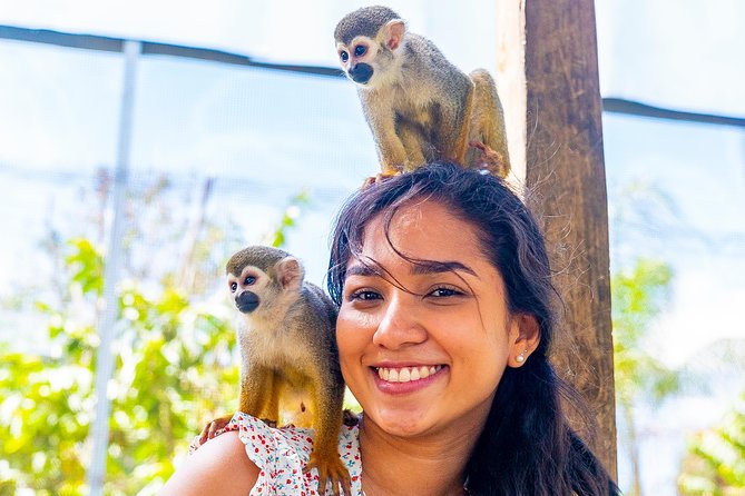 Monkeyland Puerto Plata - Food and Drink Sampling: Coffee, Hot Chocolate, and Dominican Culture