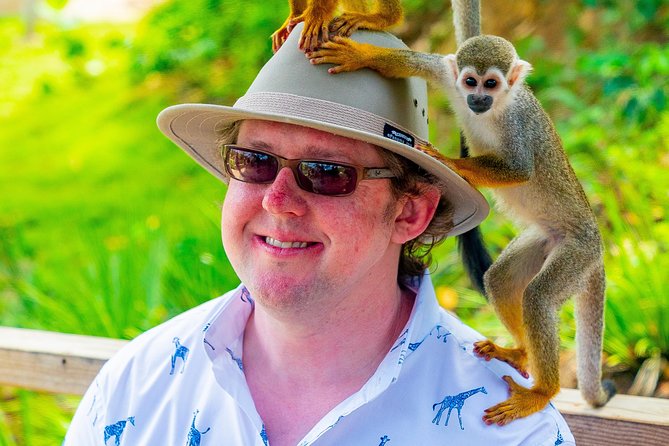 Monkeyland Puerto Plata - Group Size, Pacing, and the “Watch Your Step” Checklist