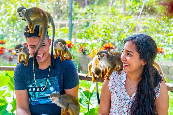 Monkeyland Puerto Plata - Getting Picked Up: Where Timing Can Help or Hurt