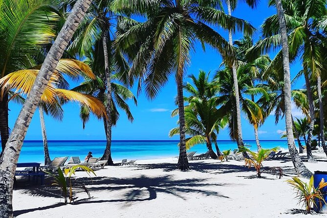 Ocean El Faro Resort - Round Trip Shuttle - Punta Cana Airport - Meeting your driver fast, without guesswork