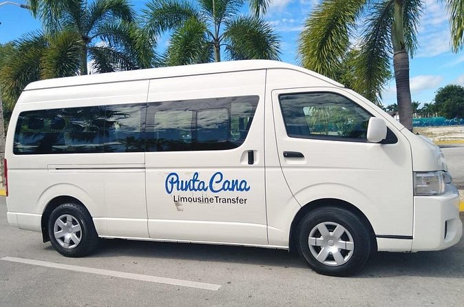 One Way Private Airport or Hotel Transfer Bavaro Hotel 1-6 Pax - Flight Delays, Waiting, and GPS Tracking That Actually Helps