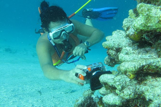 PACKAGE DEAL Catamaran- Snorkeling - Hooka Diving - Parasailing - The Party Cruise Side: Open Bar, Dancing, and the Kind of Crowd to Expect