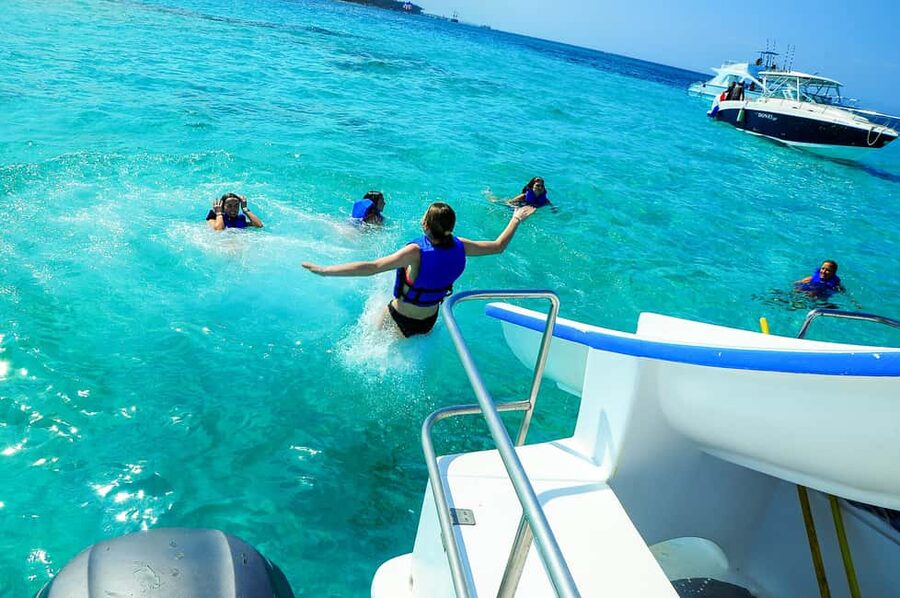 Party Boat and Snorkelling in Punta Cana - Snorkeling stop and Dolphin Island views: what you should look for