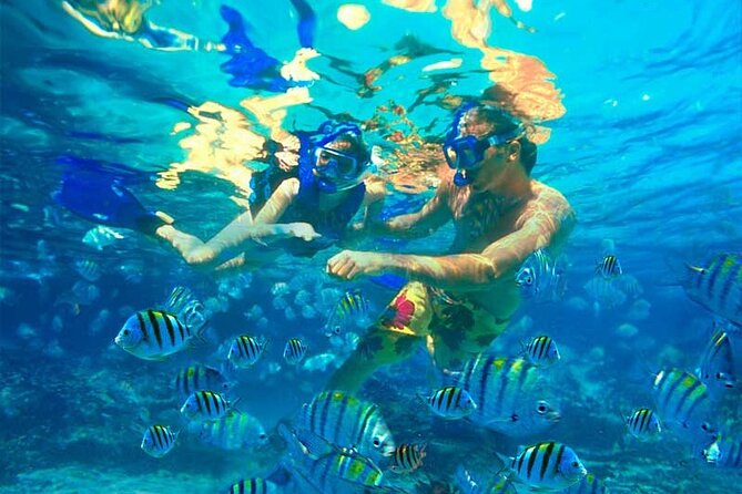 Party Boat Catamaran with Snorkeling from Punta Cana - Dolphin Spotting From Afar: A Quick Look, Not a Guarantee