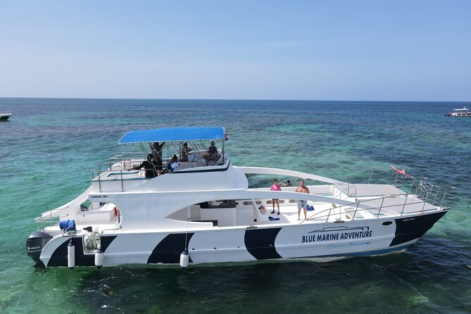Party Boat - Private groups, snorkeling - Open Bar. - Snacks and onboard comforts: nachos and fruit, not a full meal