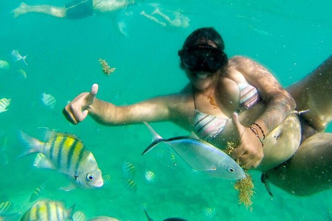 Party Boat - Private groups, snorkeling - Open Bar. - Service, crew, and safety: what’s included and what to check