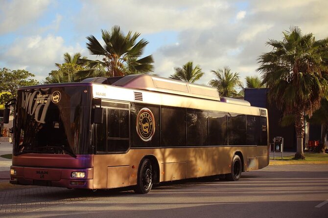 Party Bus Rental - Enter Downtown Punta Cana, Then Roll as a Private Crew