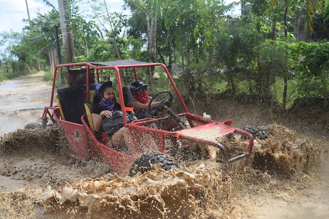 Platinum Buggy Adventure - Key Things You’ll Notice on This Buggy Ride