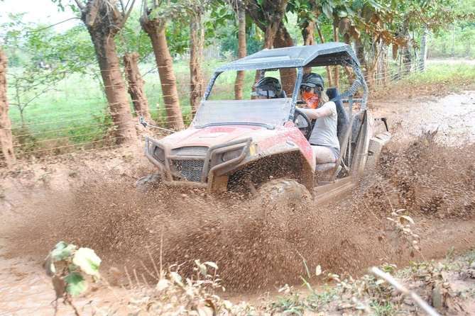 Platinum Buggy Adventure - Automatic Rides and Safety Rules You Have to Follow