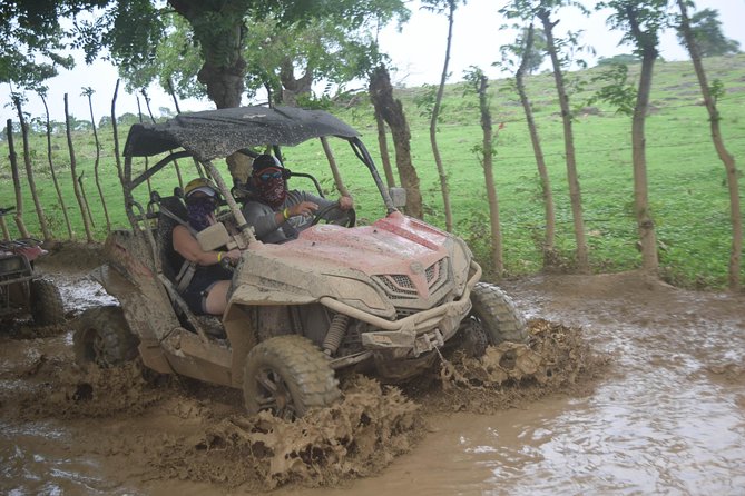 Platinum Buggy Adventure - Price and Value: Is $65 a Fair Deal for This Half-Day?