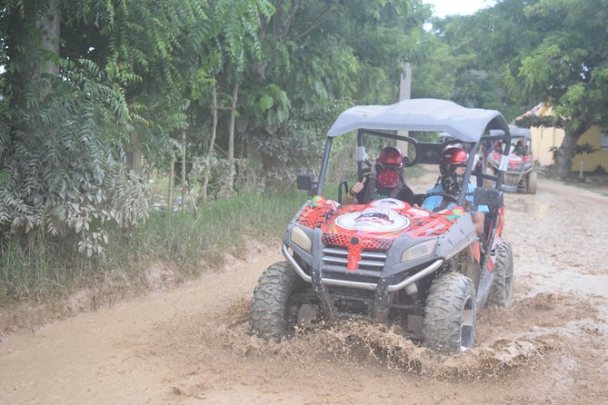 Platinum Buggy Adventure - Who This Tour Fits Best (and Who Should Sit This One Out)