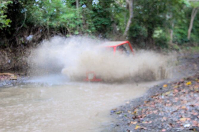 Pop Buggy Excursion from Amber Cove and Taino Bay Puerto Plata - Safety and Buggy Setup: Choose 1, 2, or 4 Riders