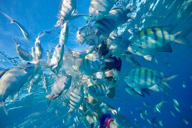 Private all-inclusive snorkeling at sosua beach. - Food and Drinks: A Real Post-Snorkel Reward