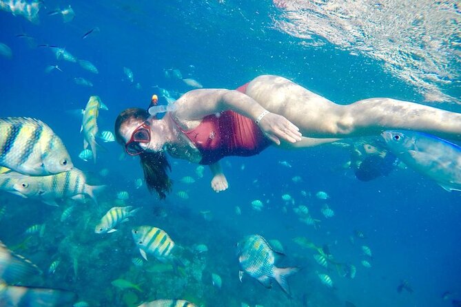 Private all-inclusive snorkeling at sosua beach. - Beach Chairs and Atlantic Time: Where the Day Actually Ends