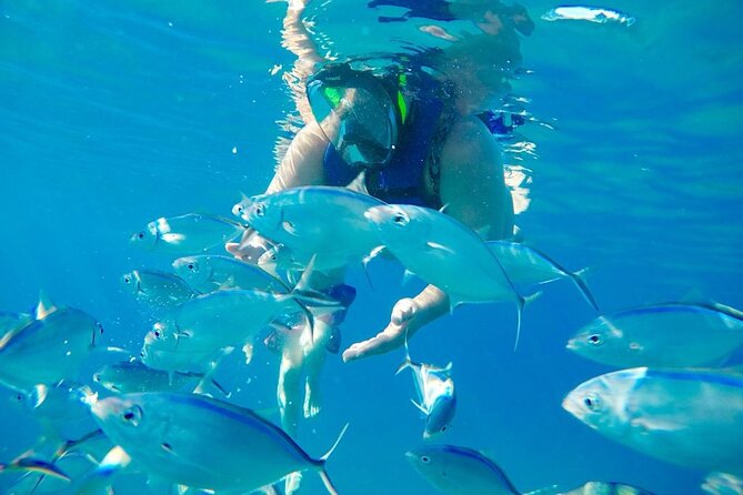 Private all-inclusive snorkeling at sosua beach. - Timing, Meeting Hours, and What That Means for Your Day