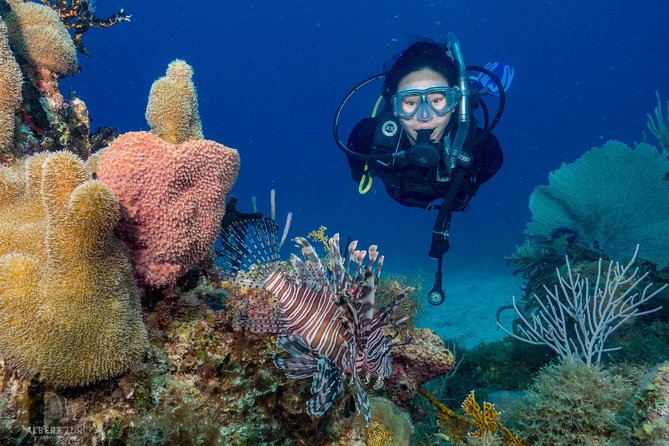 Private Bayahibe 3 Tank Diving with Lunch from Punta Cana - Caribbean Sea side, not Punta Cana’s Atlantic: the comfort factor