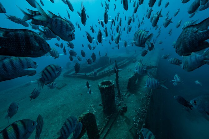 Private Bayahibe 3 Tank Diving with Lunch from Punta Cana - The morning plan: two guided underwater sessions, then lunch fuel