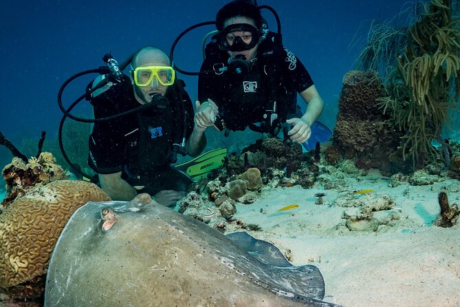 Private Bayahibe 3 Tank Diving with Lunch from Punta Cana - Gear and guidance: what’s included, and what you must bring
